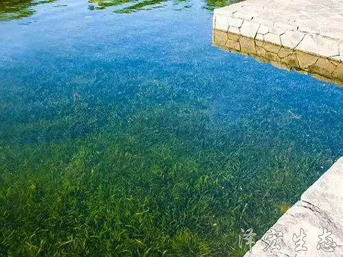 深圳某項目